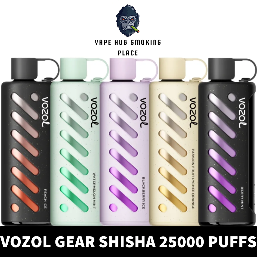 VOZOL Gear Shisha 25000 puffs Dual Mode Disposable vape Dubai Vape Hub Smoking Place VOZOL Gear Shisha 25000 puffs Dual Mode Disposable vape Dubai Vape Hub Smoking Place