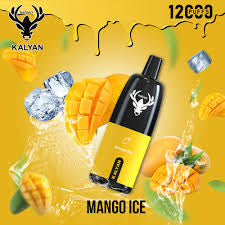 KALYAN Pro 12000 Puffs 50MG Disposable Vape Dubai UAE Vape Hub Smoking Place