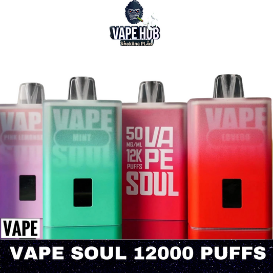 Vape Soul 12000 puffs in dubai UAE Vape Hub Smoking Place