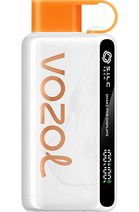 VOZOL STAR 12000 Puffs Disposable Vape in Dubai UAE Vape Hub Smoking Place