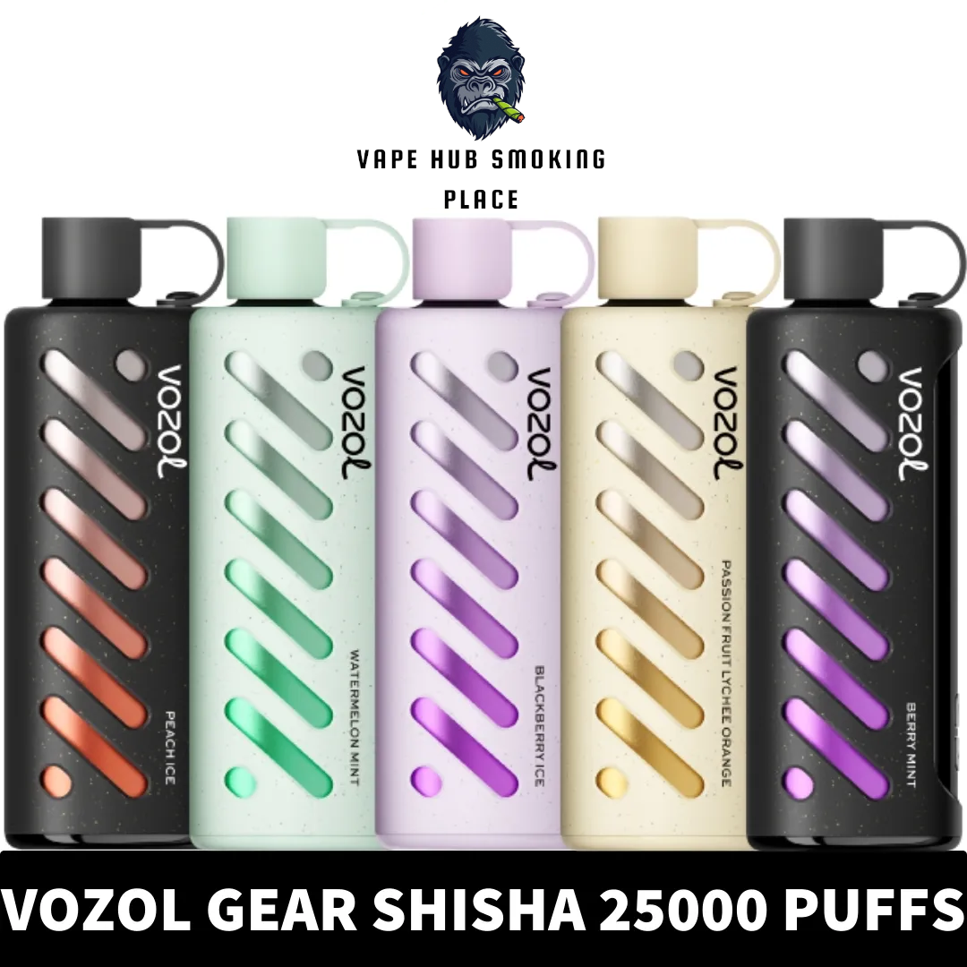 VOZOL Gear Shisha 25000 puffs Dual Mode Disposable vape Dubai Vape Hub Smoking Place