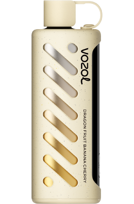 VOZOL Gear Shisha 25000 puffs Dual Mode Disposable vape Dubai Vape Hub Smoking Place