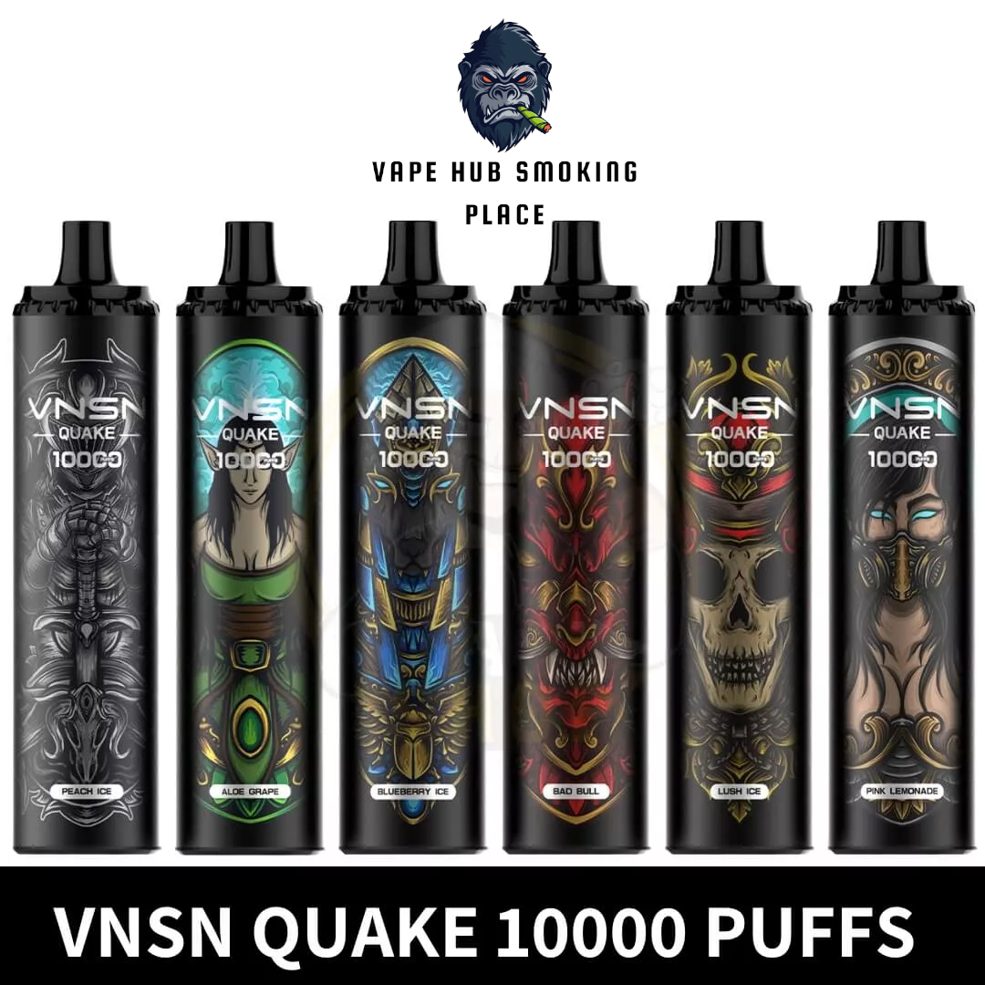 Vnsn Quake 10000 Puffs 
Disposable Vape In UAE Vape Hub Smoking Place