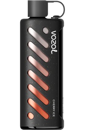 VOZOL Gear Shisha 25000 puffs Dual Mode Disposable vape Dubai Vape Hub Smoking Place