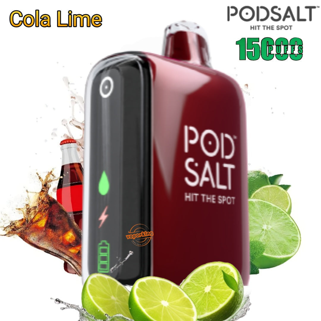 Pod Salt 15000 Puffs Disposable Vape 20mg in Dubai Sharjah Vape Hub Smoking Place