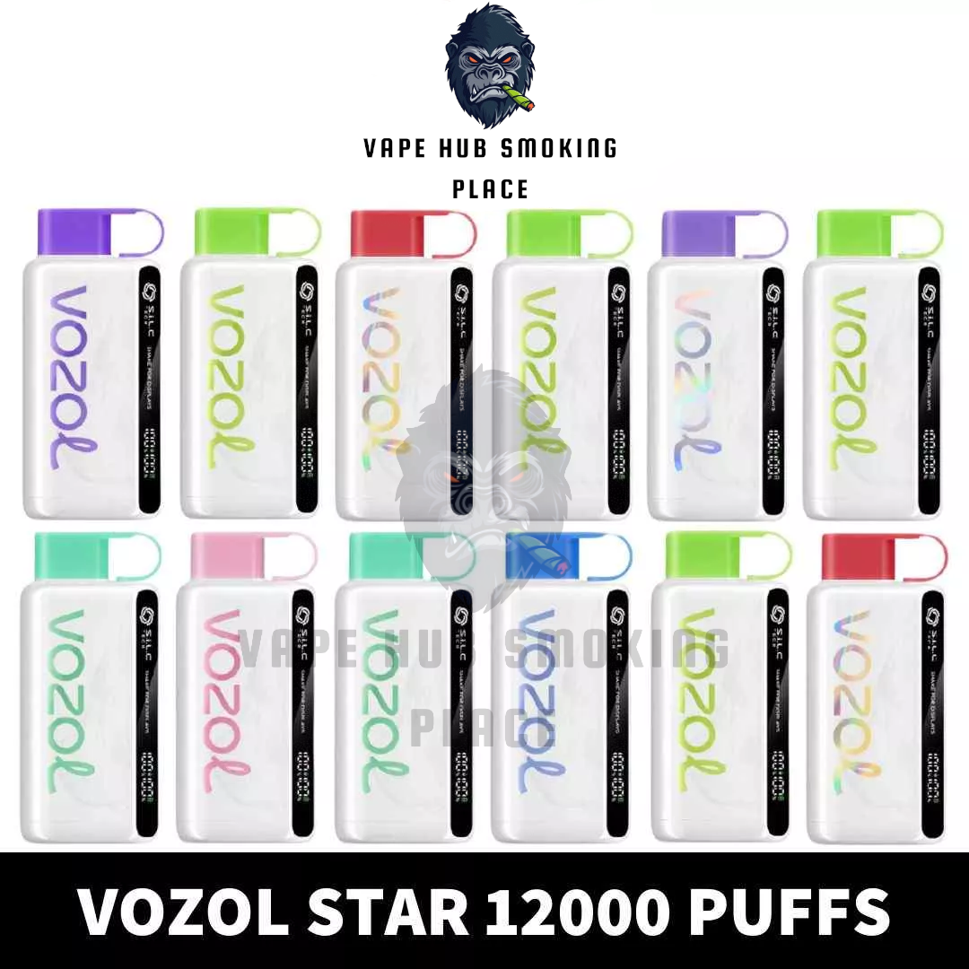 VOZOL STAR 12000 Puffs Disposable Vape in Dubai UAE Vape Hub Smoking Place