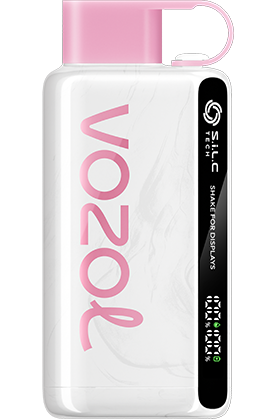VOZOL STAR 12000 Puffs Disposable Vape in Dubai UAE Vape Hub Smoking Place VOZOL STAR 12000 Puffs Disposable Vape in Dubai UAE Vape Hub Smoking Place
